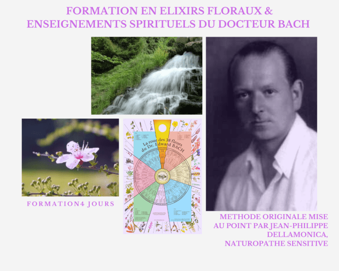 Formation en Fleurs de Bach, l'enseignement spirituel du Dr Bach