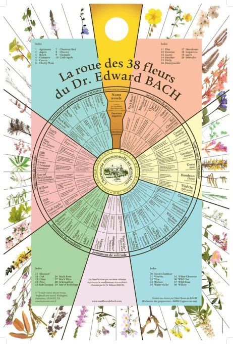 Formation en Fleurs de Bach, l'enseignement spirituel du Dr Bach