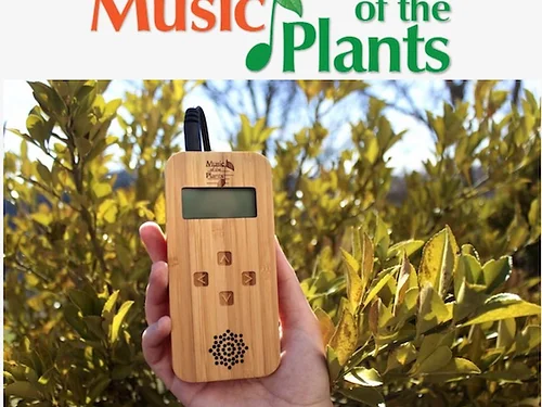 Le Bambou, petit appareil avec lequel nous écoutons la musique des plantes